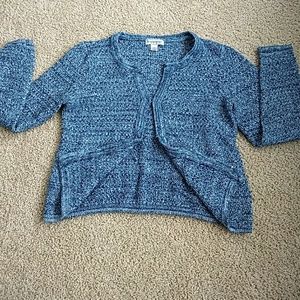 Blue Cardigan